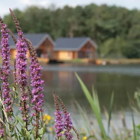 Lovely In With House Sea View Ferienhaus