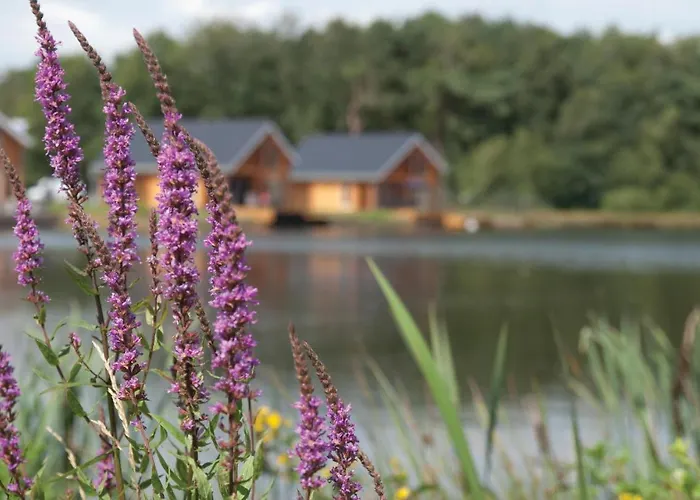 Lovely In With House Sea View 펜션